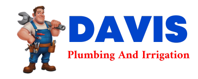 Trusted plumber in THORN HILL